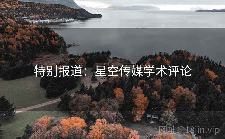 特别报道：星空传媒学术评论