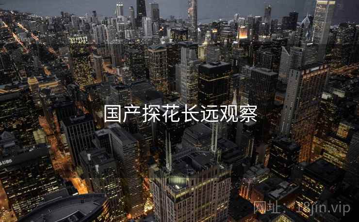 国产探花长远观察