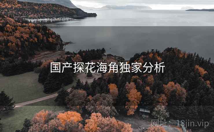 国产探花海角独家分析