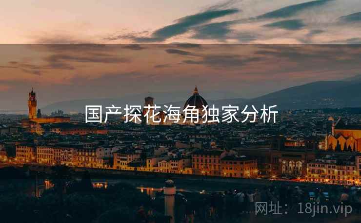 国产探花海角独家分析