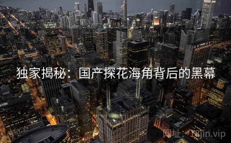 独家揭秘：国产探花海角背后的黑幕