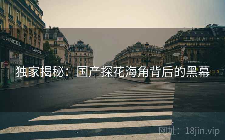 独家揭秘：国产探花海角背后的黑幕