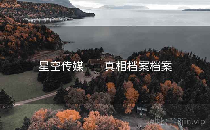 星空传媒——真相档案档案