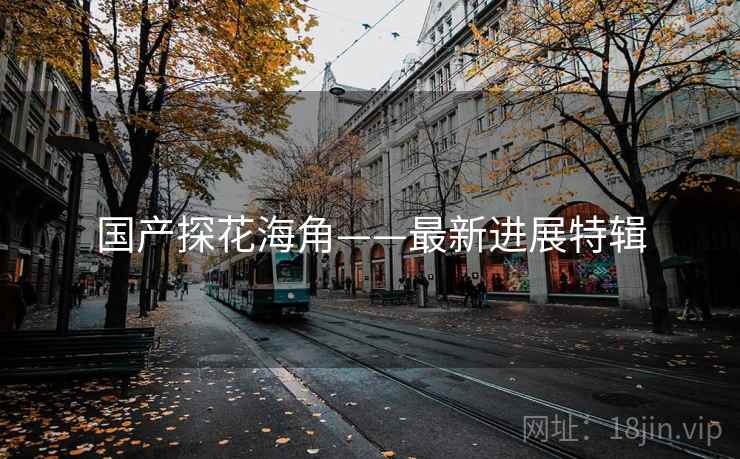 国产探花海角——最新进展特辑
