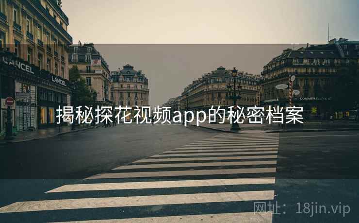 揭秘探花视频app的秘密档案