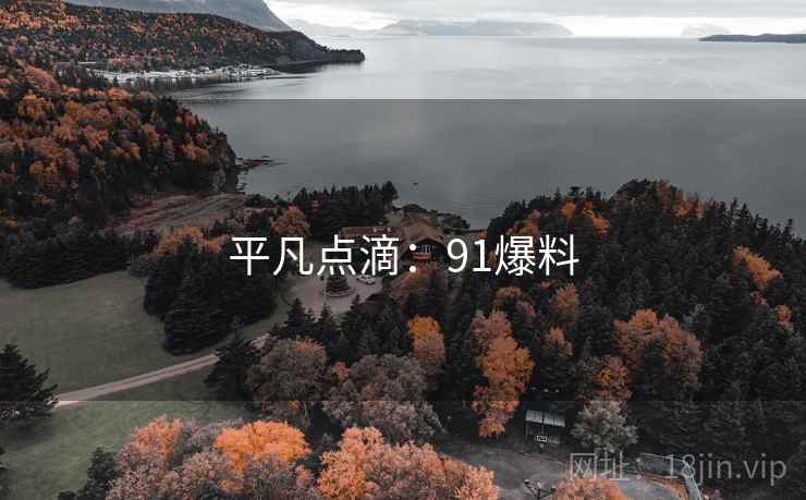 平凡点滴：91爆料