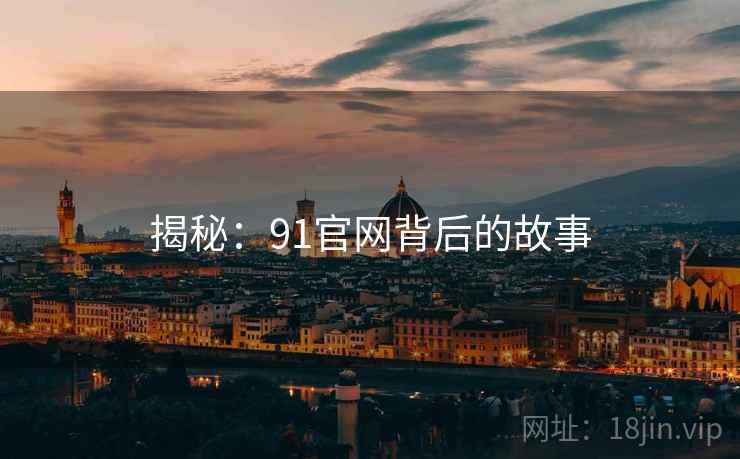 揭秘：91官网背后的故事