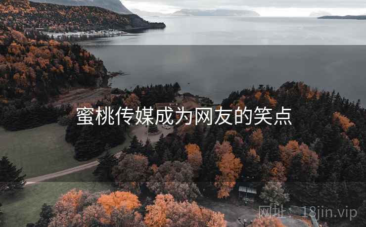 蜜桃传媒成为网友的笑点