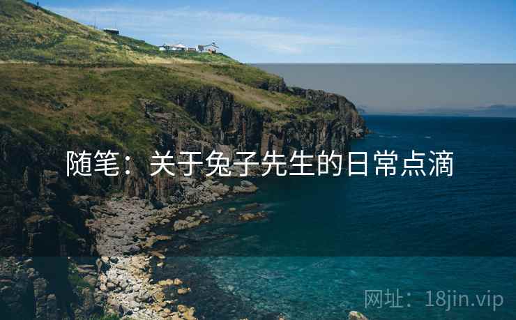 随笔：关于兔子先生的日常点滴