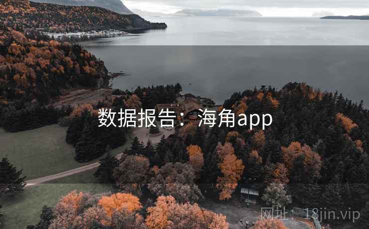 数据报告:海角app