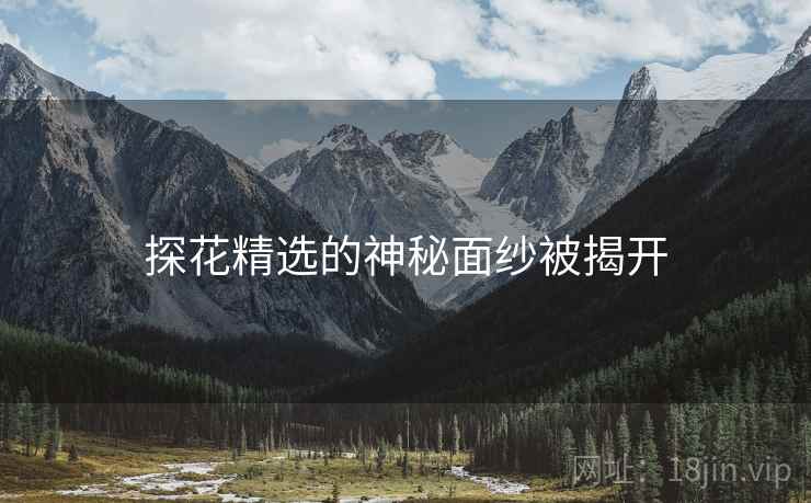 探花精选的神秘面纱被揭开