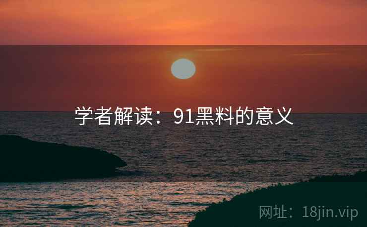 学者解读:91黑料的意义